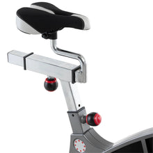 Cargar imagen en el visor de la galería, BICICLETA SPINNING TURIN