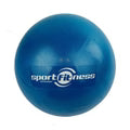 Mini Gym Ball 25 CM